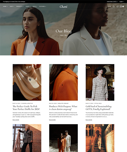Chani WordPress Theme