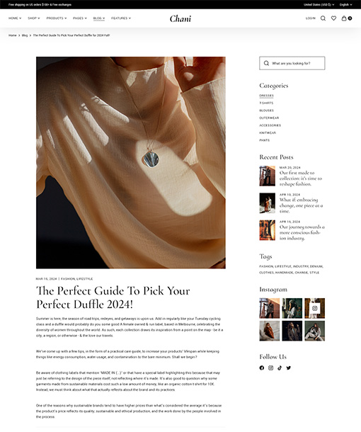 Chani WordPress Theme