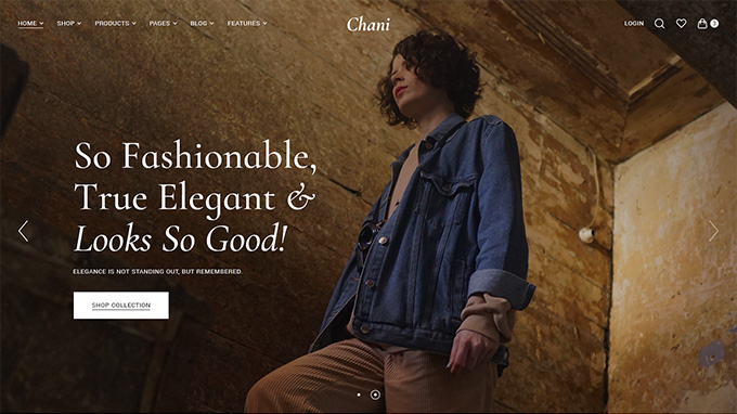 Chani WordPress Theme
