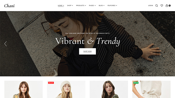 Chani WordPress Theme