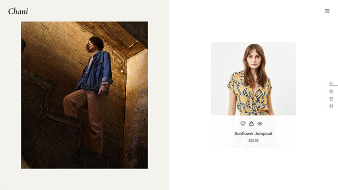 Chani WordPress Theme