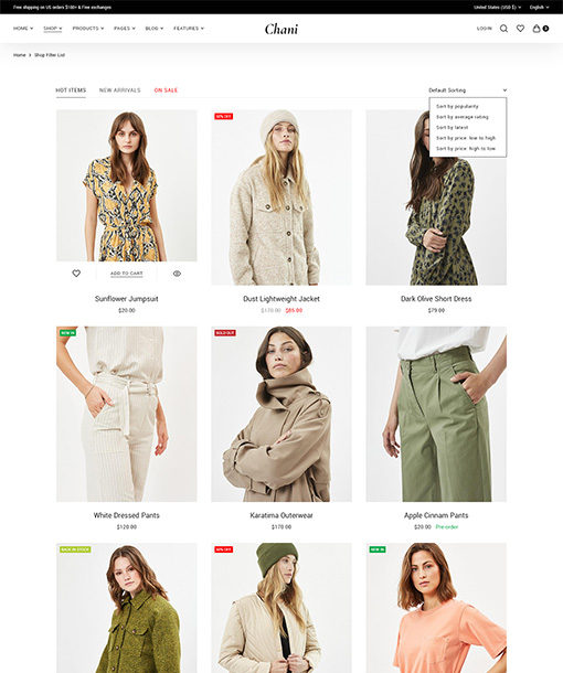 Chani WordPress Theme