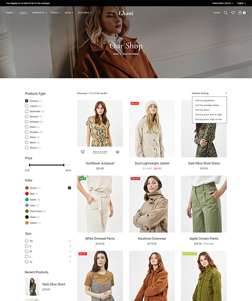 Chani WordPress Theme