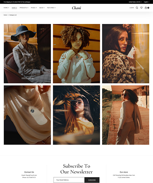 Chani WordPress Theme