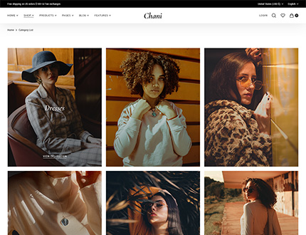 Chani WordPress Theme